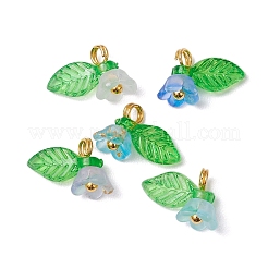 11 шт. подвески из прозрачного акрила с цветами&nbsp;PALLOY-JF03585