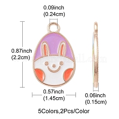 10шт 5 стиля подвески из цинкового сплава с эмалью&nbsp;ENAM-YW0002-80