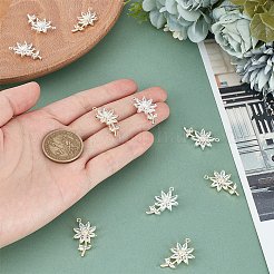 8шт 2 цвета латунные микропаве прозрачные кубические циркониевые подвески&nbsp;FIND-PH0021-01