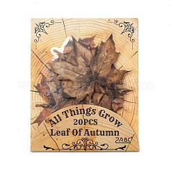 Набор водонепроницаемых наклеек для домашних животных&nbsp;LS-DIY-Z030-01C