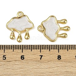 Подвески из нержавеющей стали 304 с эмалью&nbsp;STAS-L290-09G