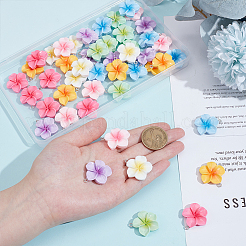 49 шт. 7 цвета непрозрачные подвески из смолы&nbsp;CRES-PH0001-30