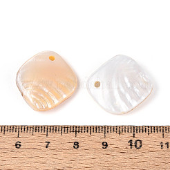 Природные подвески оболочки пресноводных&nbsp;BSHE-T014-27