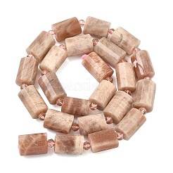 Натуральный Sunstone бисер пряди&nbsp;G-G453-E09-10x14mm