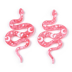 Печатные акриловые большие подвески&nbsp;LS-FEST-PW0001-037D