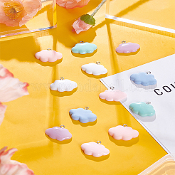 12 шт. 6 цвета непрозрачные подвески из смолы&nbsp;RESI-LP0001-07