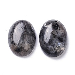 Кабошоны из натурального черного ларвикита&nbsp;X-G-Z020-10