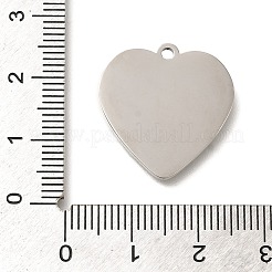 Подвески из нержавеющей стали 304 с защитой от потускнения&nbsp;LS-STAS-R131-14P