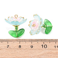 Прозрачные акриловые подвески&nbsp;PALLOY-MZ00823-03