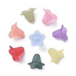 Прозрачные акриловые бусины&nbsp;PLF018