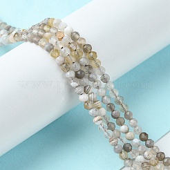 Природные Ботсвана агат бисер нитей&nbsp;G-F748-D01