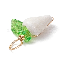 Подвески из натуральной морской ракушки&nbsp;PALLOY-JF03610-02