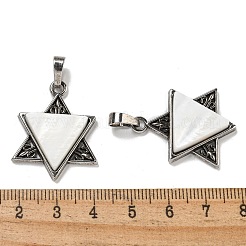 Натуральный белый оболочки подвески&nbsp;SHEL-G019-01AS