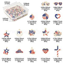 60 шт. 15 стиля эмалевые подвески из сплава ко Дню независимости&nbsp;FIND-FS0004-41