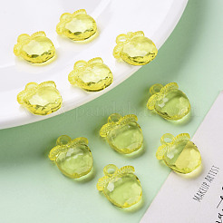 Прозрачные акриловые подвески&nbsp;TACR-S154-28B-85