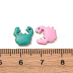 Подвески из эмалированной нержавеющей стали 304&nbsp;X-STAS-Q363-14E-G