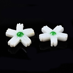 Бусины из натуральных пресноводных ракушек&nbsp;SHEL-N003-19C