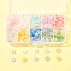 300 шт. 10-х цветные матовые акриловые подвески&nbsp;OACR-FS0004-09