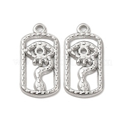 Подвески из нержавеющей стали 304&nbsp;LS-STAS-B032-01P