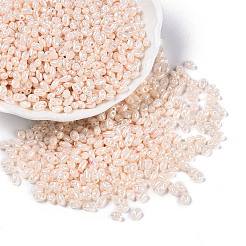 Непрозрачные цвета блестящие стеклянные бусины&nbsp;SEED-T006-02H