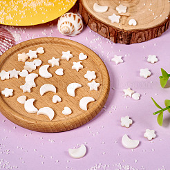 40шт 4 стиля натуральные бусины из пресноводных ракушек&nbsp;SHEL-TA0001-15