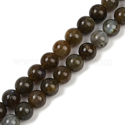 Природные лабрадорита бисер нитей&nbsp;LS-G-I253-01-8mm