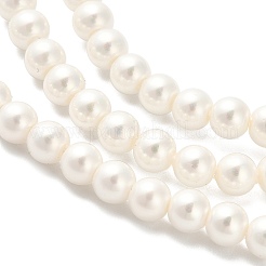 Нити круглых бусин из ракушки с покрытием цвета ab&nbsp;LS-BSHE-XCP0001-31