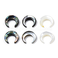 Наборы бусин из натуральных ракушек&nbsp;SSHEL-N034-122B