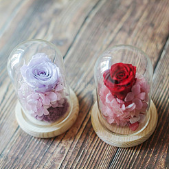 Стеклянный купол&nbsp;FIND-WH0152-546