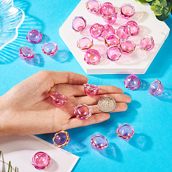 30 шт.&nbsp;PACR-TA0001-20A