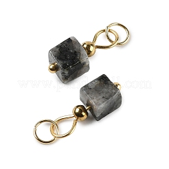 Природные подвески лабрадорита&nbsp;STAS-Z129-01G-03