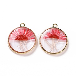 Подвески из прозрачной эпоксидной смолы&nbsp;RESI-L036-08G-01