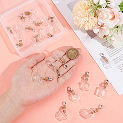 18 шт. 6 стиля стеклянная бутылка желаний европейские подвески-шармы&nbsp;PALLOY-GA0001-12