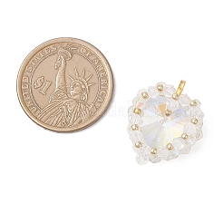 Латунь стекло кулоны&nbsp;PALLOY-MZ00981-03