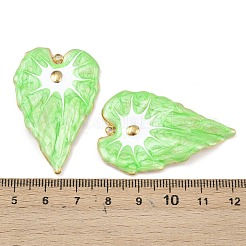 Подвески из нержавеющей стали 304 с эмалью&nbsp;STAS-C158-02G-02