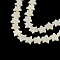 Star Shape Natural Freshwater Shell Beads Strands, 14~15x15~16x2.5~4mm, Hole: 1mm, about 30pcs/strand, 15.7 inch