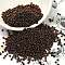 TOHO Demi Round Seed Beads, Japanese Seed Beads, Metallic Colours, (501) Bronze Higher Metallic, 8/0, 3x1.15mm, about 33500pcs/pound(450g)