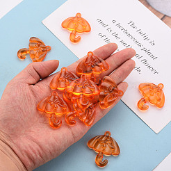 Прозрачные акриловые подвески&nbsp;TACR-T024-01B-921