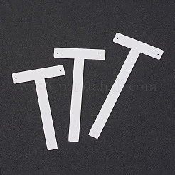 T отображает серьги&nbsp;EDIS-P002-01