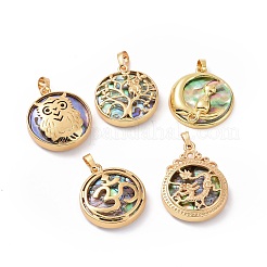 Подвески из натурального ушка / ракушки&nbsp;BSHE-I014-G