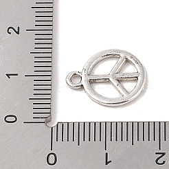 Сплавочные подвески тибетского стиля&nbsp;TIBE-Q090-21AS