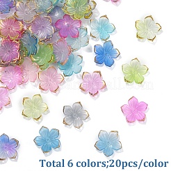 120шт 6 цвета прозрачные акриловые колпачки для бусин&nbsp;TACR-YW0002-44