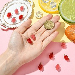 12шт 2 цвета подвески из смолы&nbsp;RESI-CJ0004-71