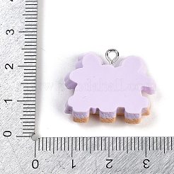 Подвески из смолы&nbsp;LS-RESI-I061-08B