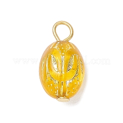 Прозрачные акриловые подвески&nbsp;PALLOY-JF04346