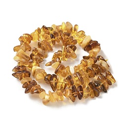 Янтарные шарики нити&nbsp;G-L095-D01-01