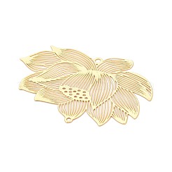 Прелести железного соединителя&nbsp;IFIN-N013-02G