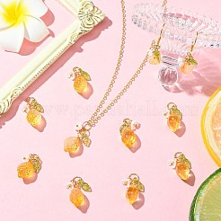 40 шт. 2 стиля подвески из стекла и акрила&nbsp;PALLOY-CJ00173