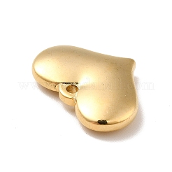 Ионное покрытие (ip) подвески из нержавеющей стали 304&nbsp;LS-STAS-E176-01G