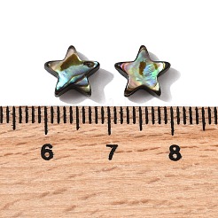 Бусины из натуральных раковин морских ушек/ракушки пауа SHEL-B003-12